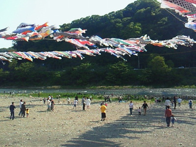 相模原の鯉のぼり